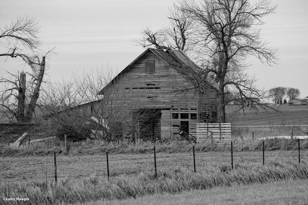 Old barn 12 2021 BW by larrysphotos