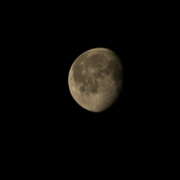 23rd Nov 2021 - Waning Moon