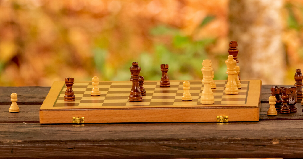 Chess Match! by rickster549
