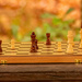Chess Match! by rickster549