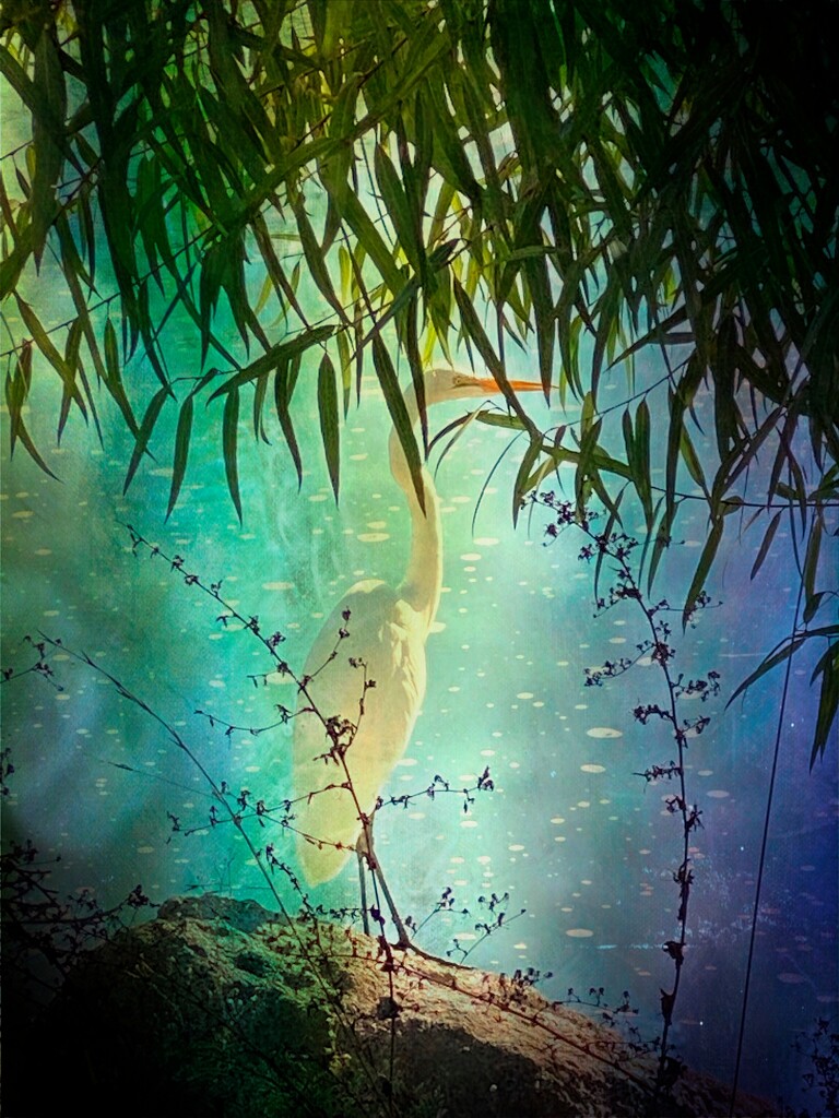Egret In The Pond by joysfocus