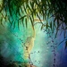Egret In The Pond by joysfocus