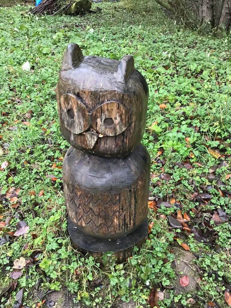 Mr Owl by jab