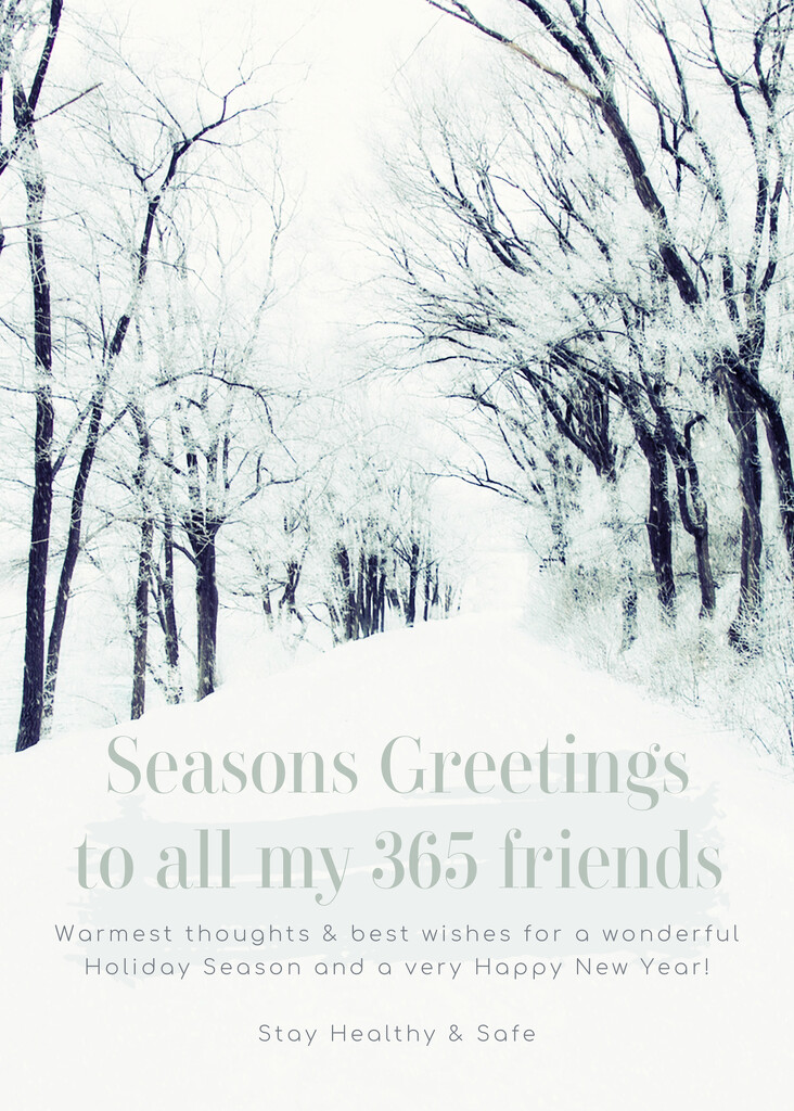 Happy Holidays and Warm Wishes to all My 365 Friends! by pdulis