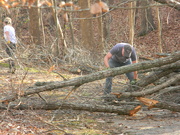 24th Dec 2021 - Clearing Branches on Trail