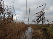 18th Dec 2021 - Devon Walk