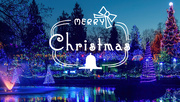 24th Dec 2021 - Merry Christmas…