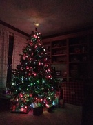 25th Dec 2021 - Our Tree's Last Christmas