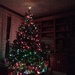 Our Tree's Last Christmas