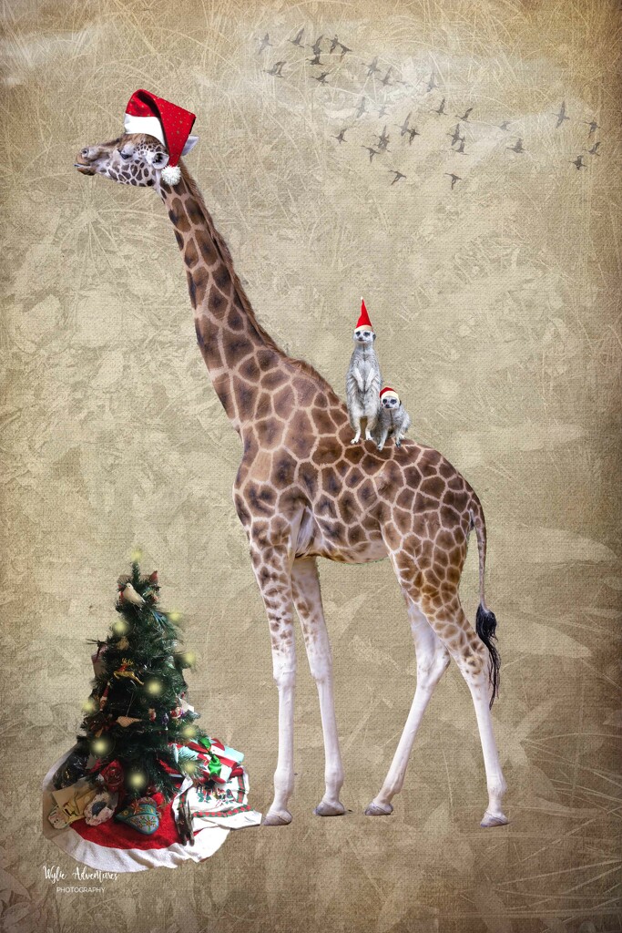 Giraffe Christmas by pusspup