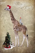 25th Dec 2021 - Giraffe Christmas