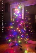 25th Dec 2021 - Christmas tree 
