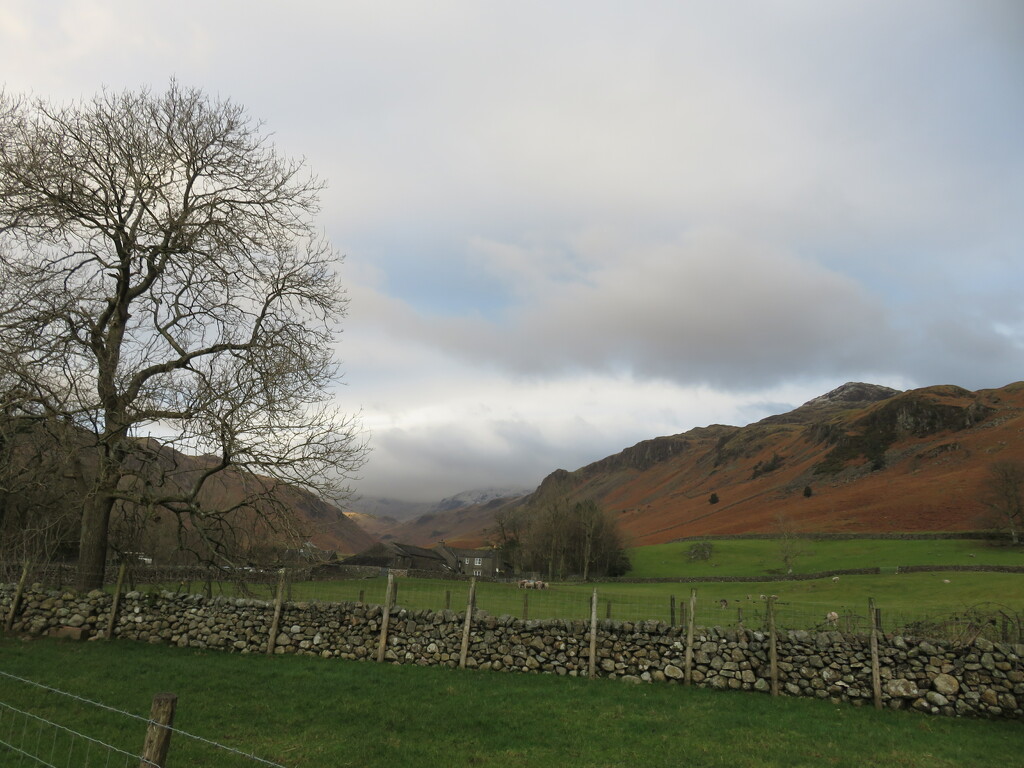 Up to Bowfell  by countrylassie