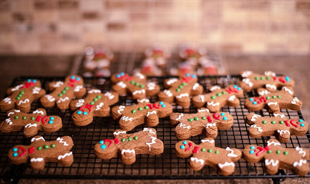 Gingerbread people by dawnbjohnson2
