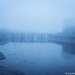 Through the fog  by stuart46