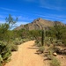 Desert stroll by blueberry1222