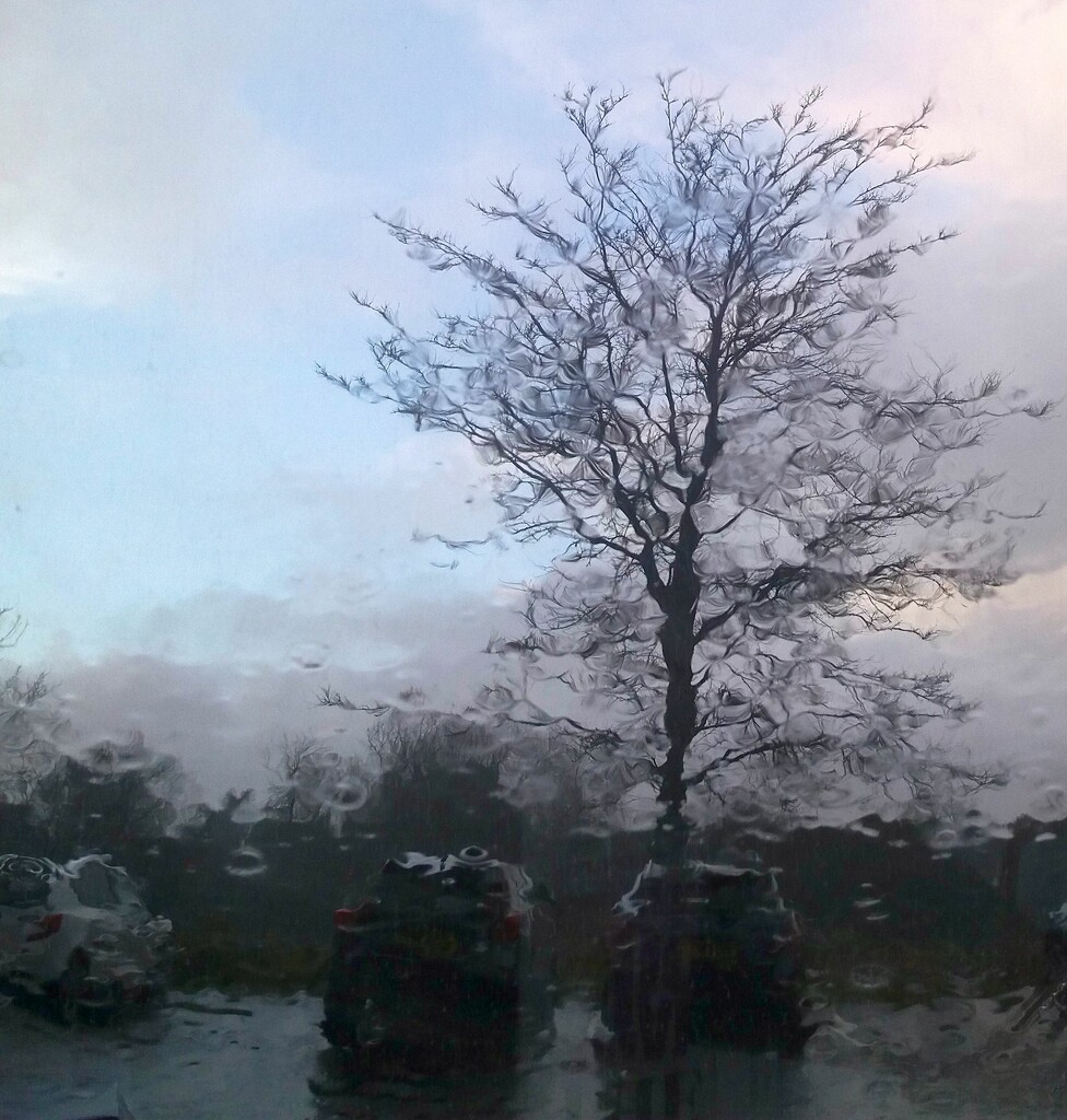 Rainy Boxing Day through the windscreen by anitaw