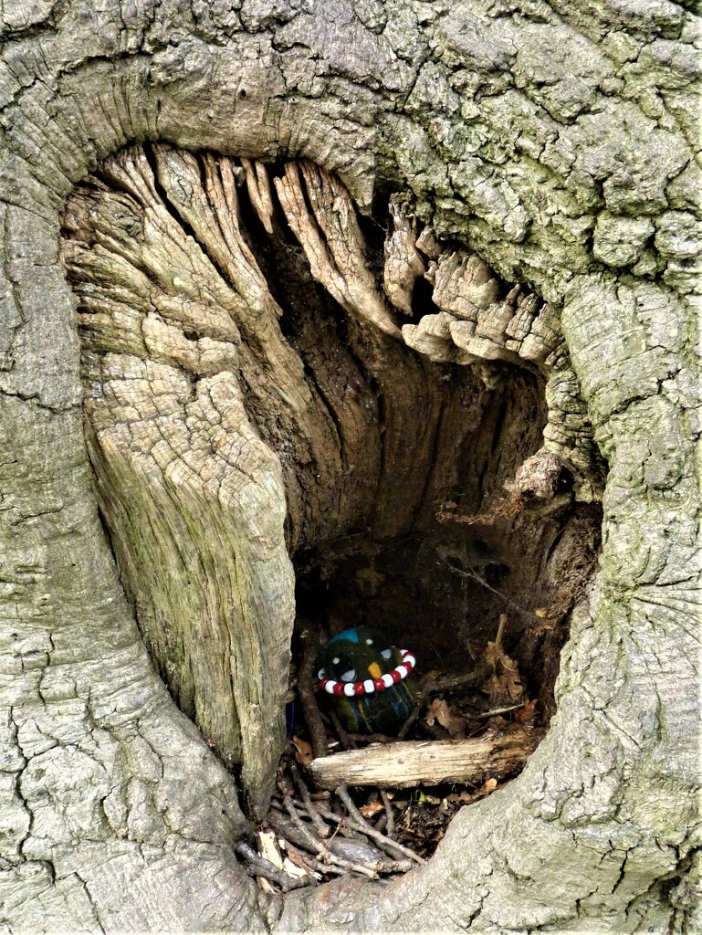 Hidey Hole by 365jgh