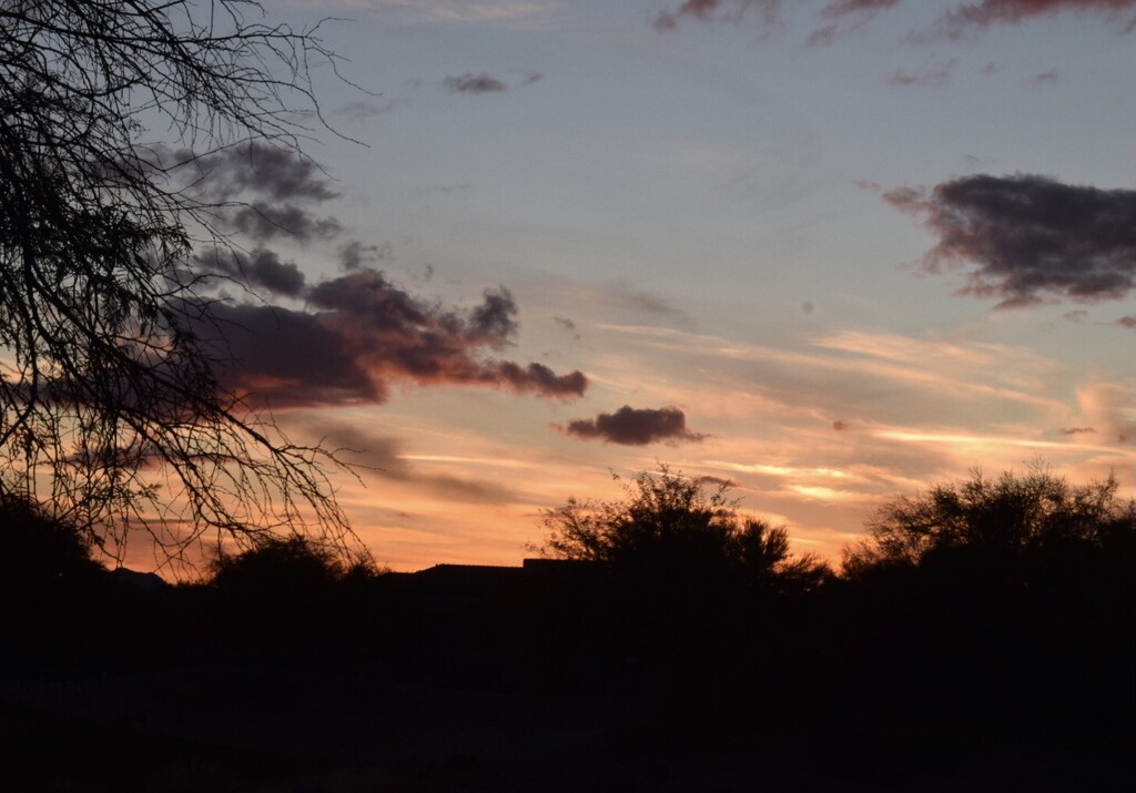 Sunset in Scottsdale  by sandlily