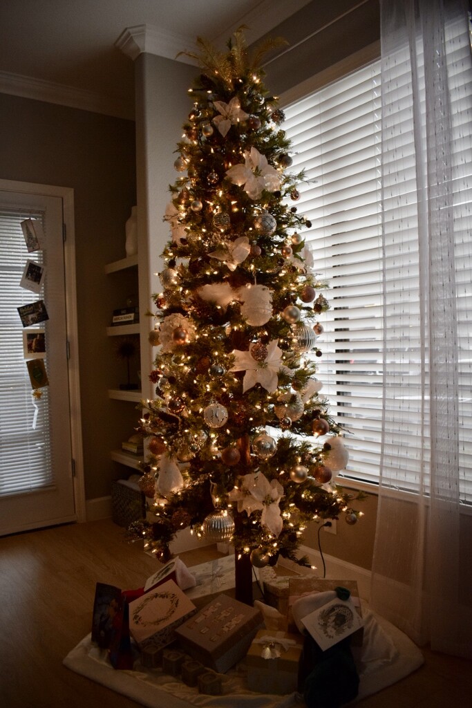 Christmas tree on Christmas day by sandlily