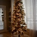 Christmas tree on Christmas day by sandlily