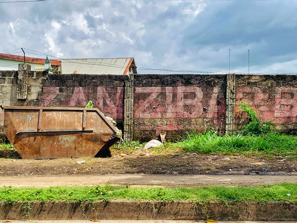 Rust in Zanzibar.  by cocobella