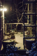 27th Dec 2021 - Snow make everything look better at night