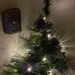Christmas Tree by 365projectmaxine