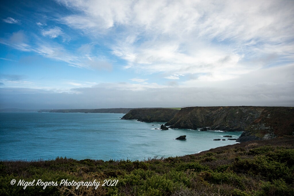 Walk from Fisherman's Cove Cornwall by nigelrogers