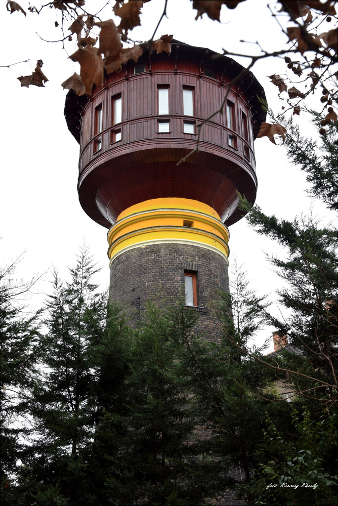 Residential house from a water tower by kork