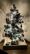 20th Dec 2021 - Jasper's Christmas Tree