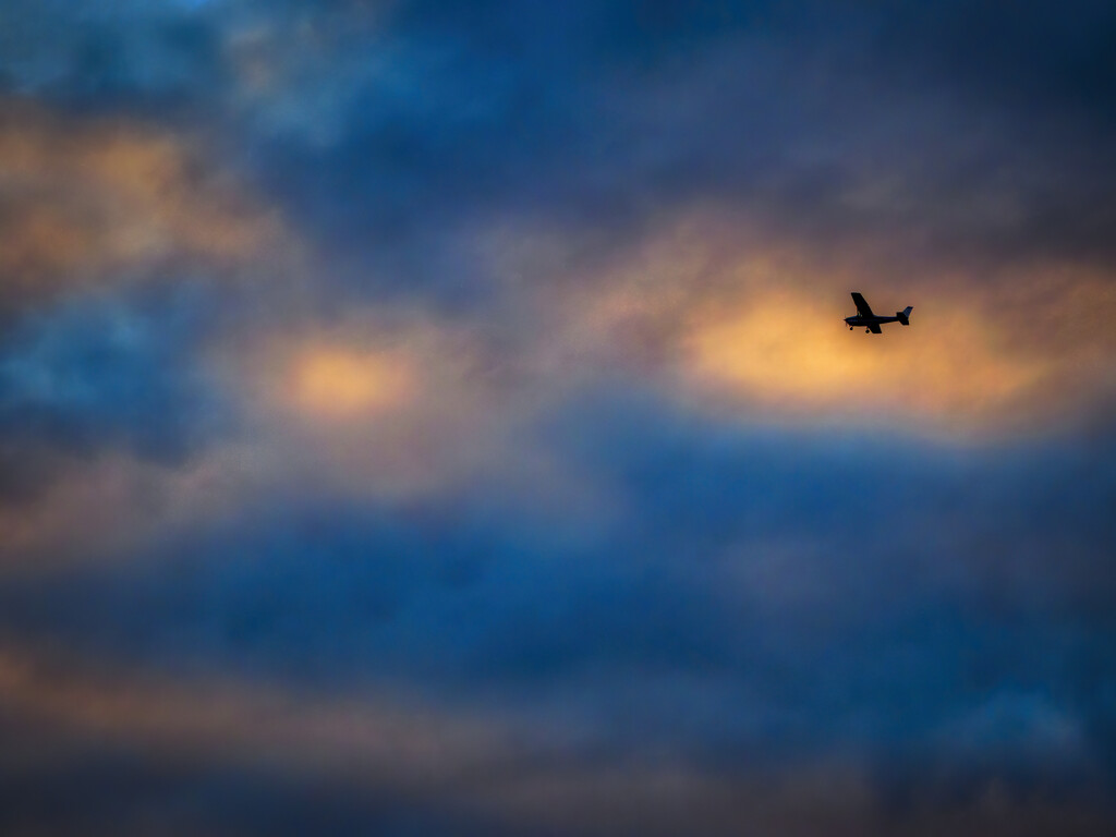 Sunset Flight by k9photo
