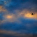 Sunset Flight by k9photo
