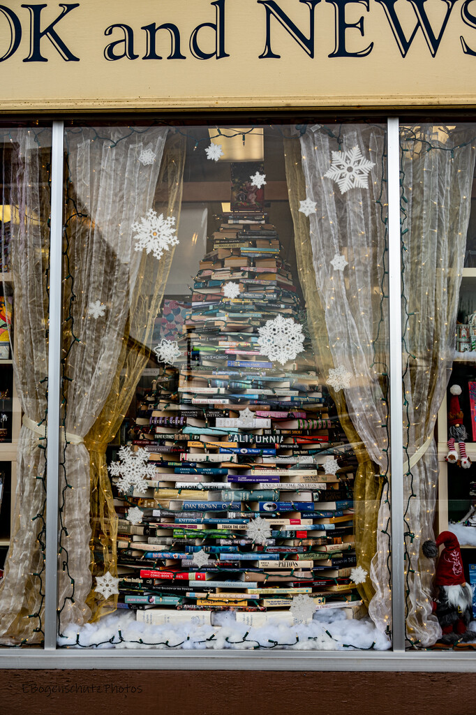 A Bookstore Christmas Tree by theredcamera