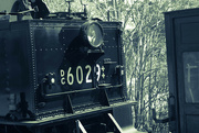 28th Sep 2019 - Locomotive 6029 ‘The Garratt’ -3