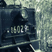 Locomotive 6029 ‘The Garratt’ -3 by annied