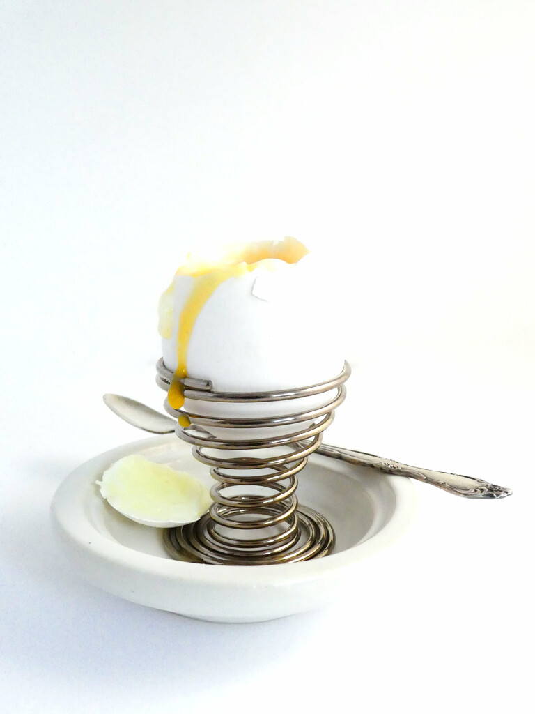 Boiled Egg by thedarkroom