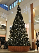 13th Dec 2021 - Christmas Tree Victoria Shopping Centre