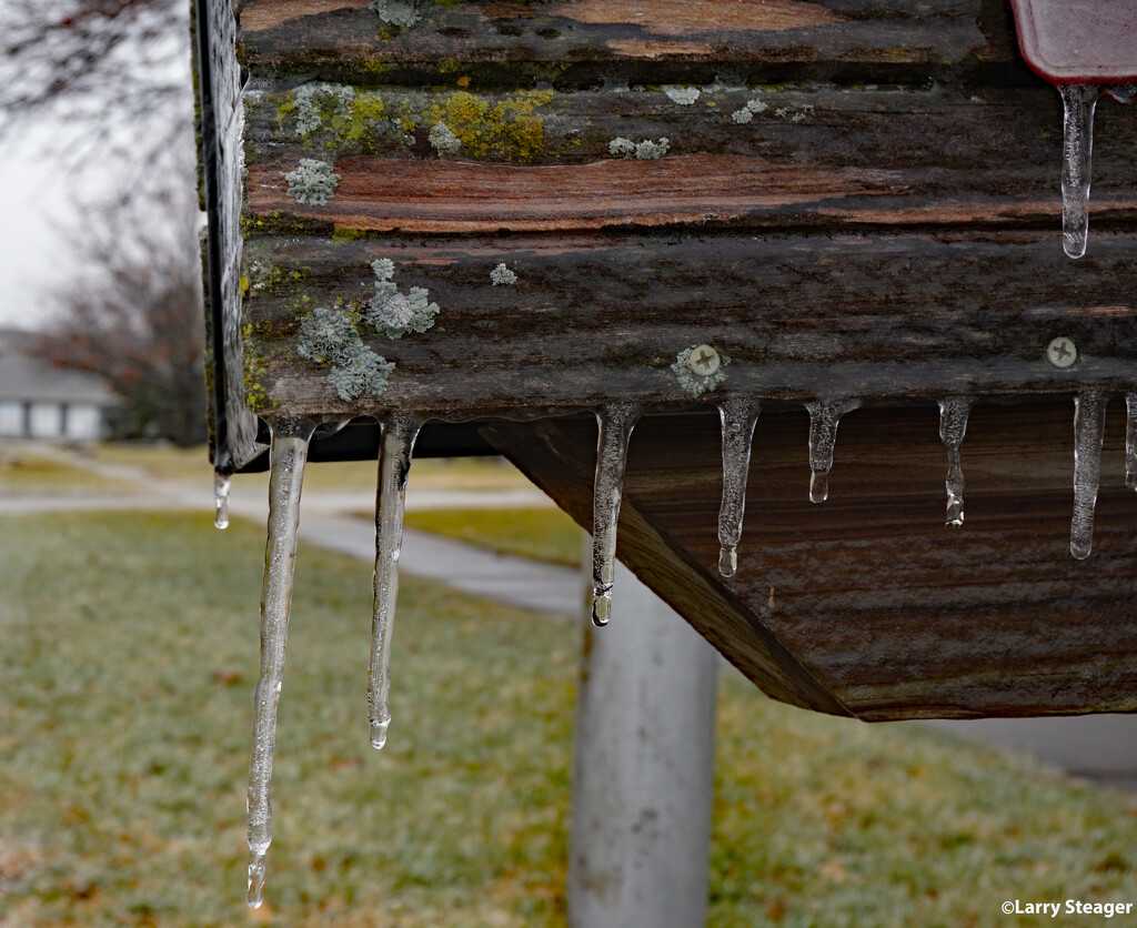 Mailbox icicle by larrysphotos