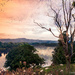 Waikato River View by yorkshirekiwi