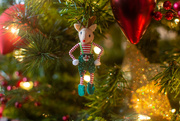 28th Dec 2021 - Christmas mouse...