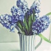 Jug of hyacinths by miranda