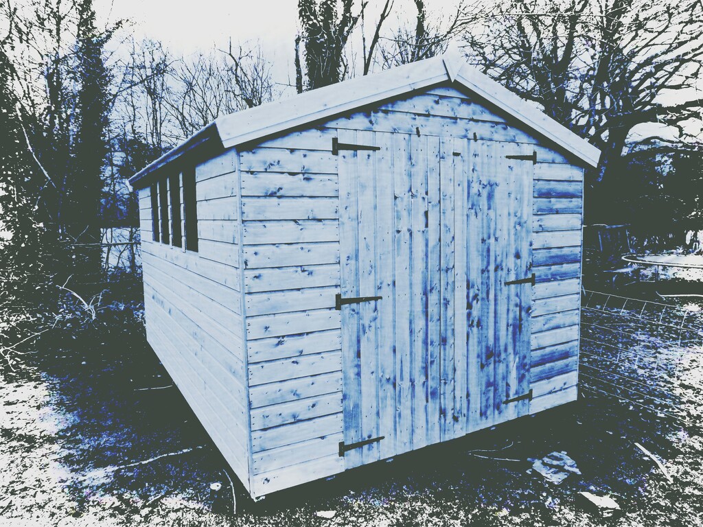A Shed Load  by ajisaac