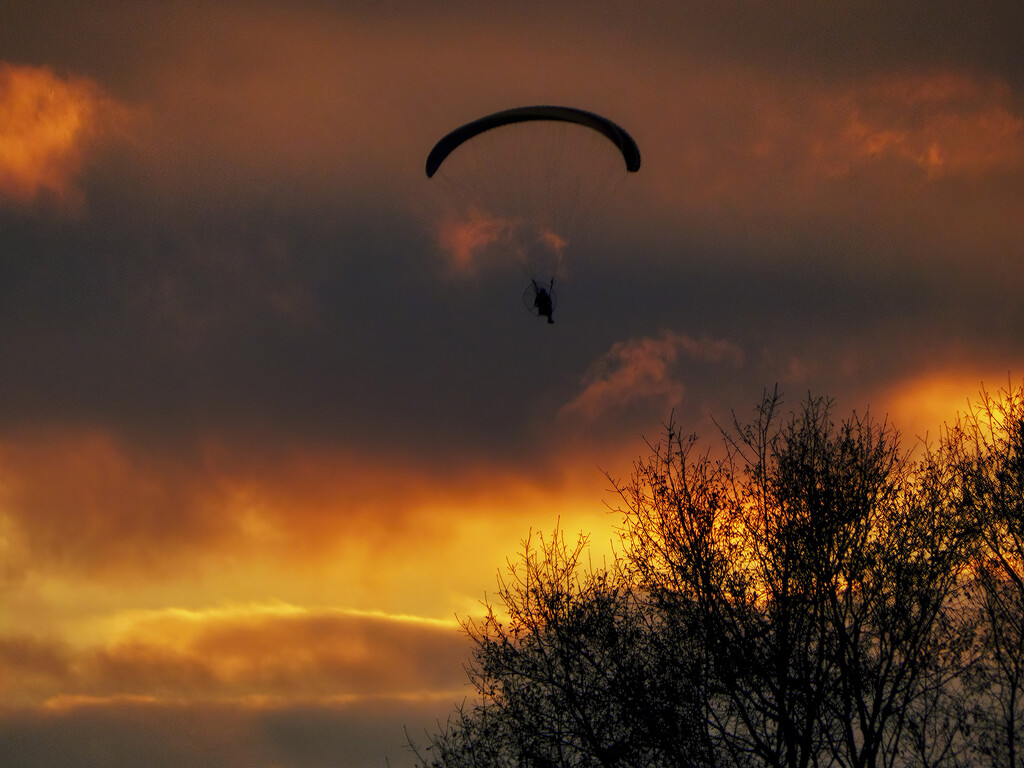Gliding into the Sunset by k9photo