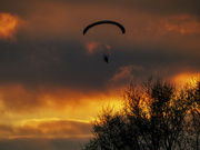 28th Dec 2021 - Gliding into the Sunset
