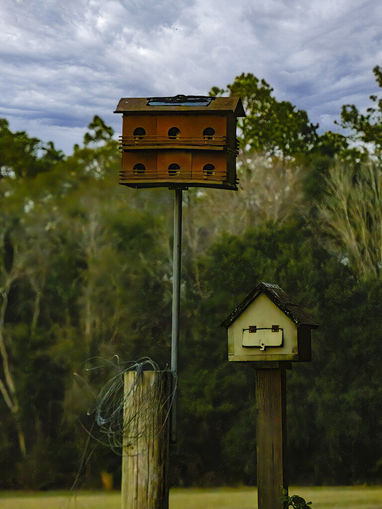 Birdhouses on the Farm by k9photo