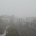 Tram's Coming through the mist