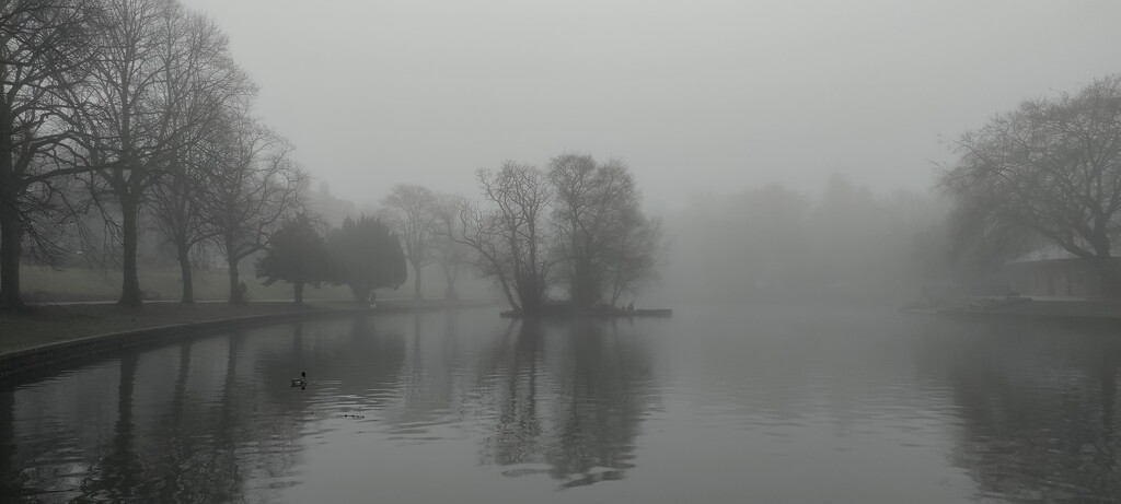 A foggy afternoon in Buxton by roachling