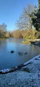 2nd Dec 2021 - A very cold morning in the park