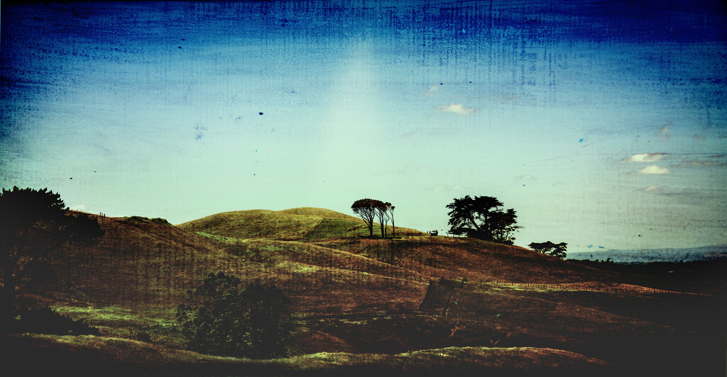 Awhitu Landscape by nickspicsnz